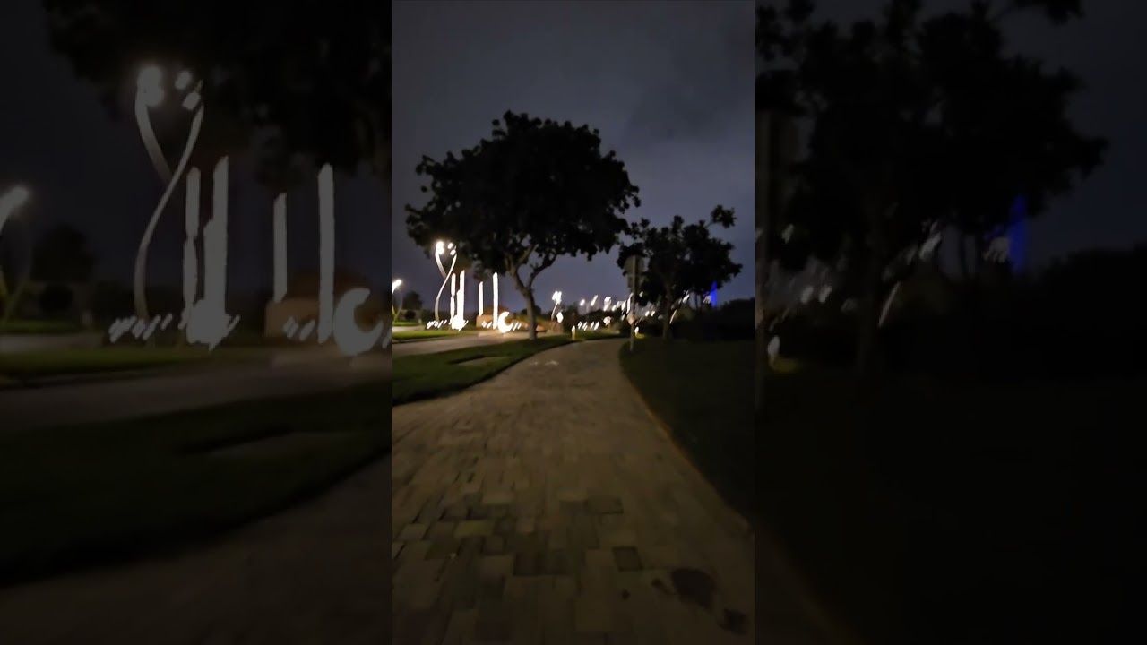 night walk