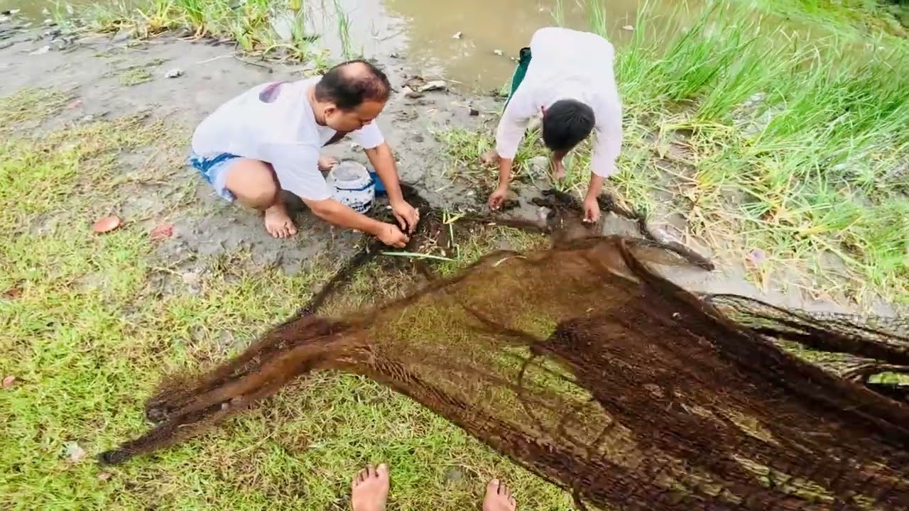 Cast Net Fishing Catch Fish 🐠| Net Throw  Amazing  Catch Small fish