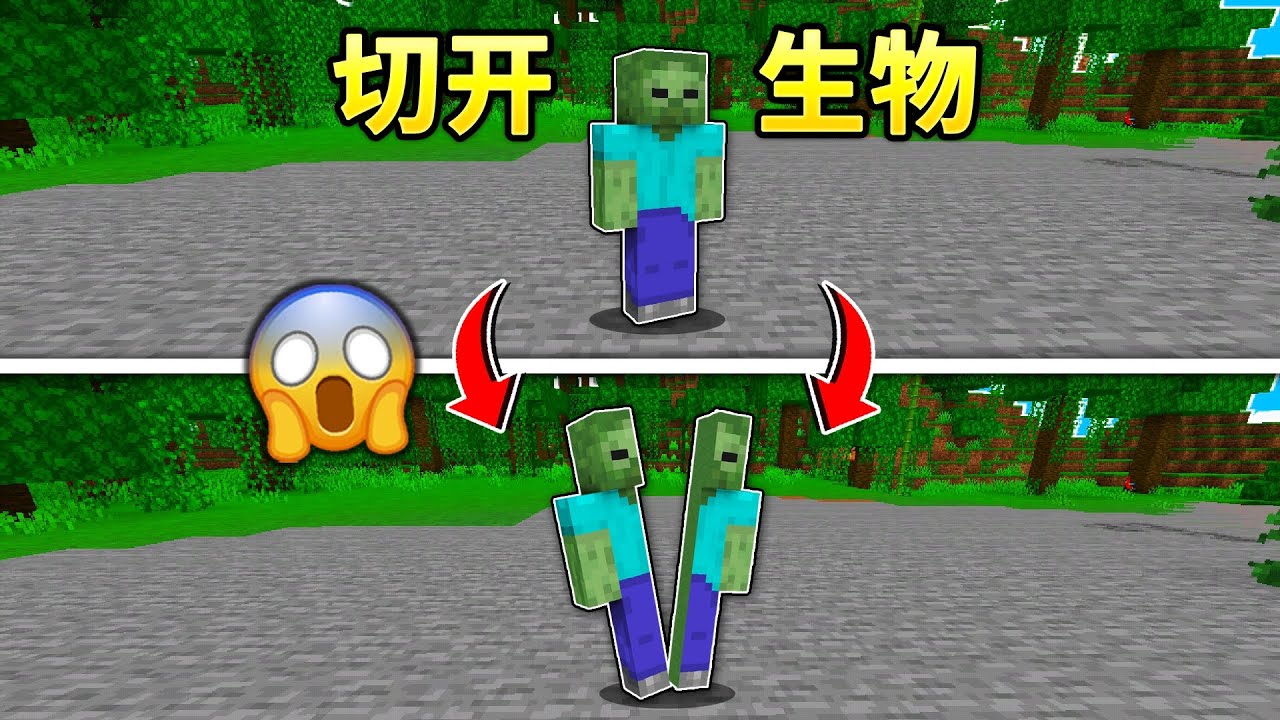 MC当我们可以切开各种生物？！