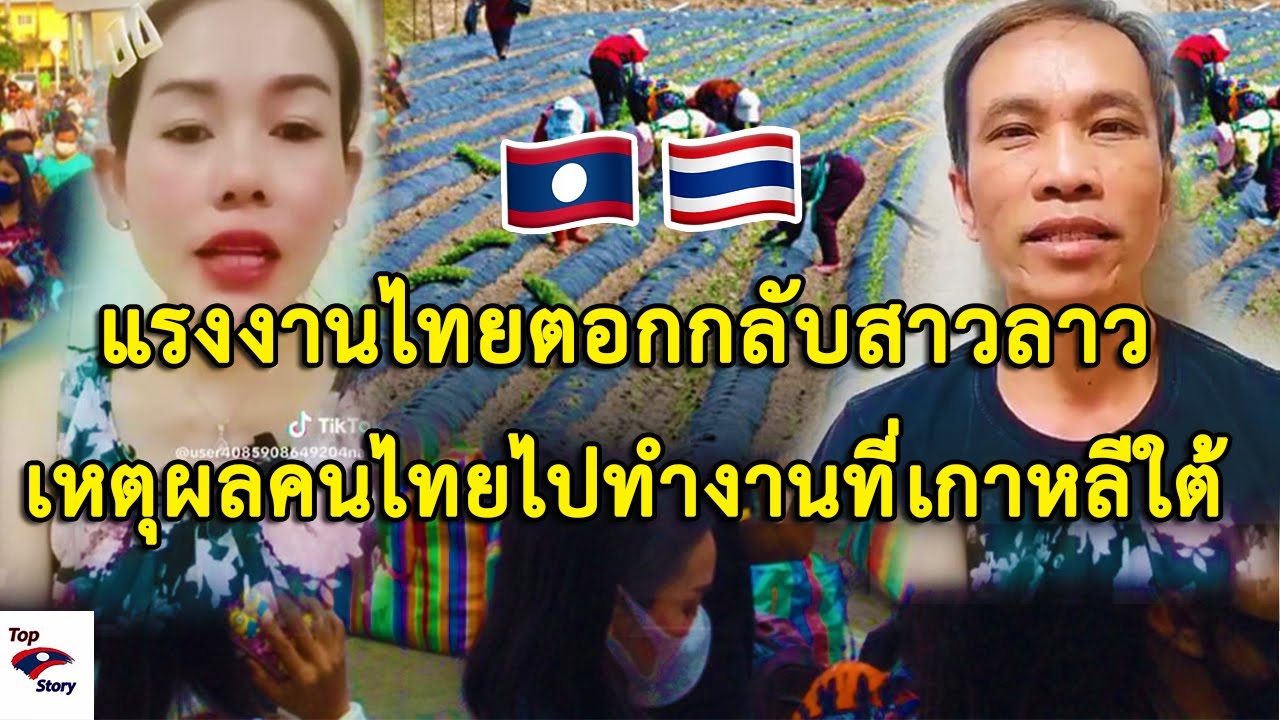 แรงงานไทยตอกกลับสาวลาวปากดีถึงเหตุผลที่คนไทยไปทำงานที่เกาหลีใต้