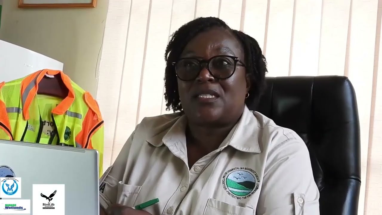Management and Restoration of Harare's Wetland Ecosystem