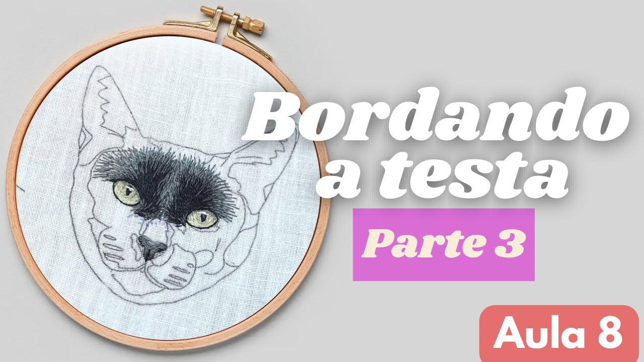 Bordando o Gatinho - Testa pt. 3