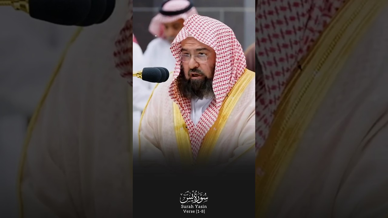 Surah Yasin Verse 1-8🎙️Sheikh Abdur Rahman As-Sudais.#سورة_يس #عبدالرحمن_السديس #القرآن_الكريم #fyp
