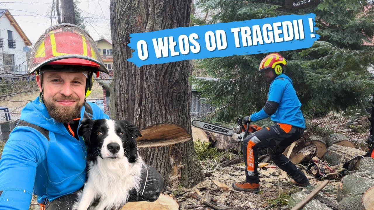 O włos od tragedii- czyli zgnita lipa ... 😳  | VLOG #16