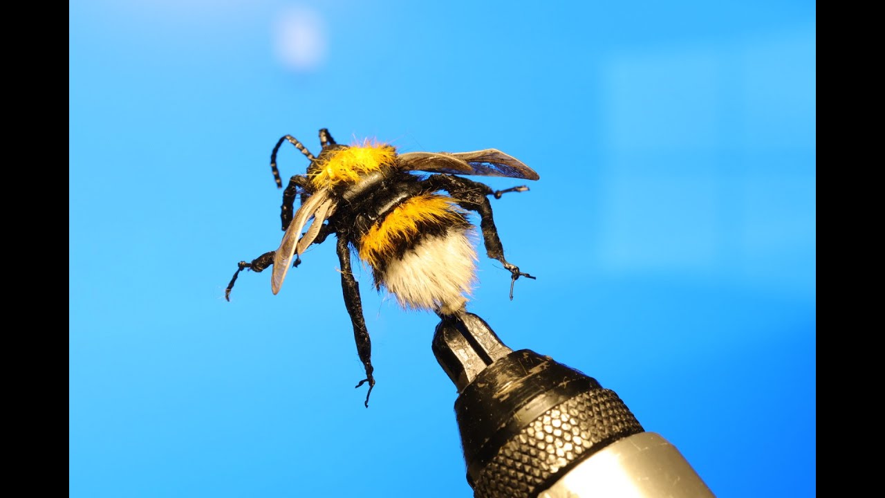Bumble-bee , realistic flies for fishing.