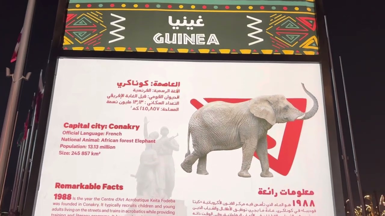 Guinea @ Flag Plaza 🇬🇳 #qatar2022  #fifaworldcup2022  #lanznarvaezvlog  #nowisall