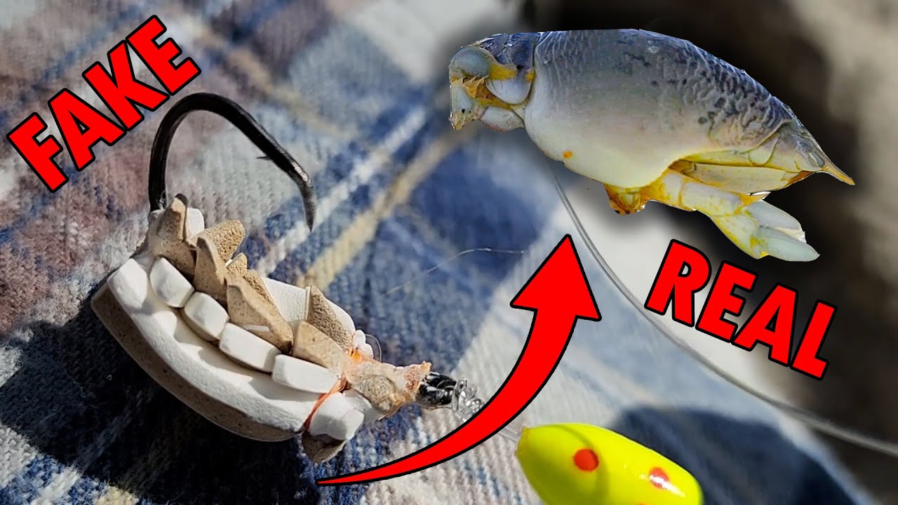 Surf Fishing Caught My Biggest one Yet! and BIG NEWS