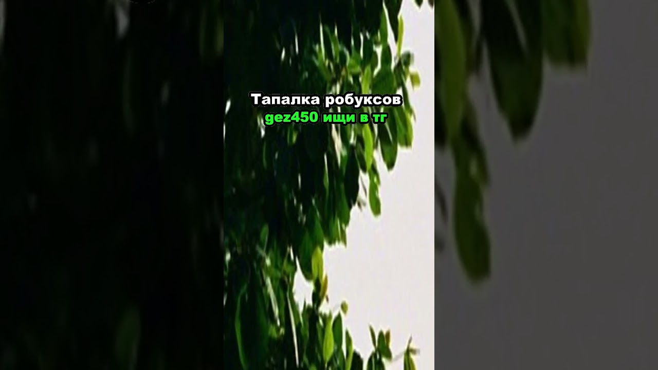 НОВЫЕ РАБОЧИЕ КОДЫ В 99 НОЧЕЙ В ЛЕСУ! КОД В 99 NIGHT IN THE FOREST В ROBLOX #роблокс #roblox 735