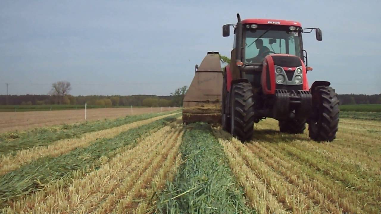 ☆ Kiszonka z Żyta 2016 ☆