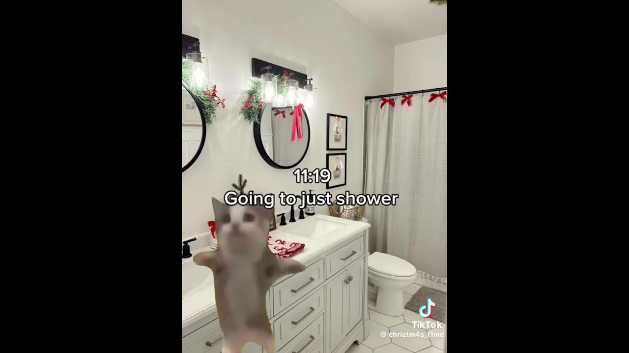 Relatable Christmas TikTok’s!🎄