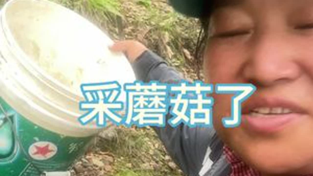 原来采蘑菇可以治感冒啊？