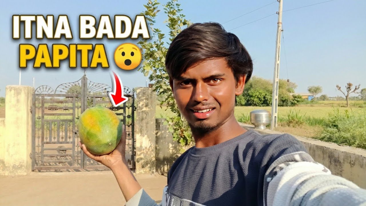 Itna Bada Papita 😯 | Khane Ka Maza Aa Gaya