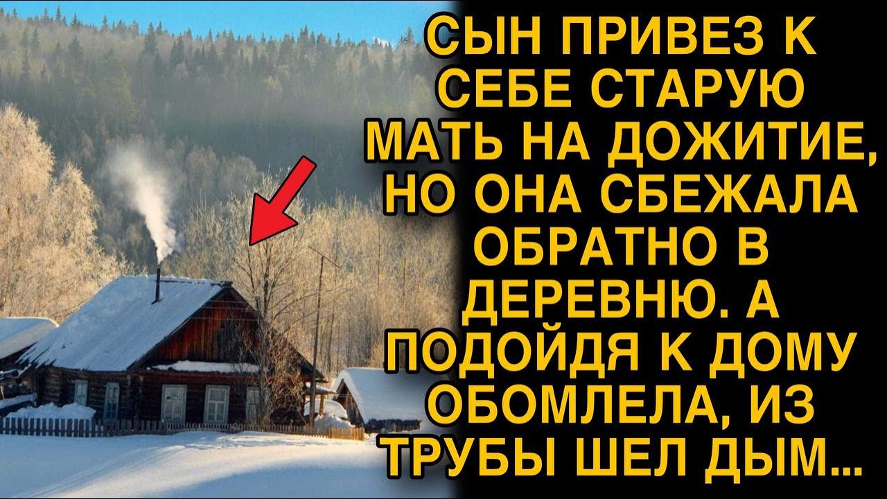 Сын привез к себе мать на дожитие, а когда она сбежала в деревню и подошла к дому - обомлела...