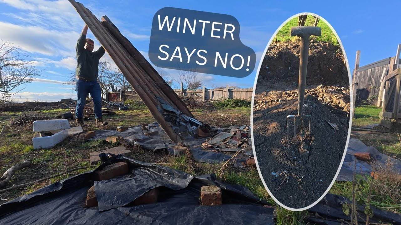 Allotment Day 5: Frozen Ground, Changed Plans