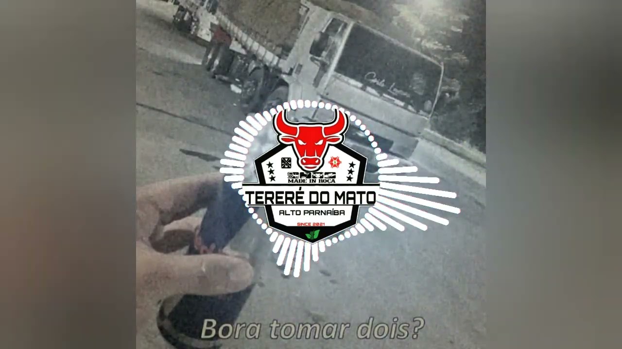 Rave e Piseiro - Matheus Canto