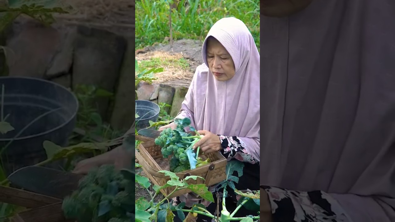 Harvest broccoli,  making chicken grilled cooking vlog in village #brocoli  #lifeinvillage
