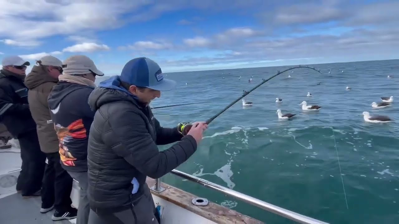 PESCA DE  SALMON EN MAR DEL PLATA - AQUAFISH PESCA DURANTE TODO EL AÑO