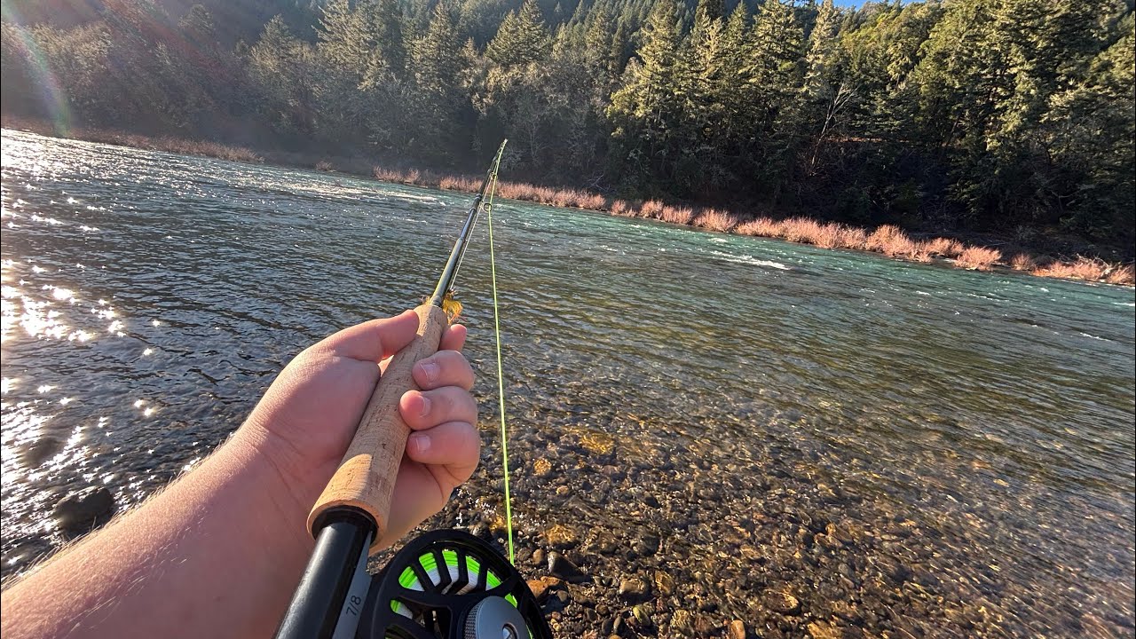 Fly fishing for winter steelhead on the North Umpqua River 