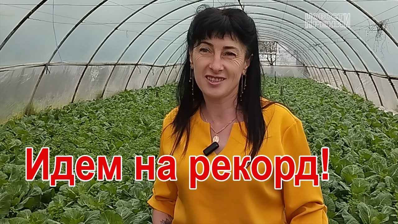 Цены на ранние овощи: что вырастили жители села Новосельское в своих теплицах?