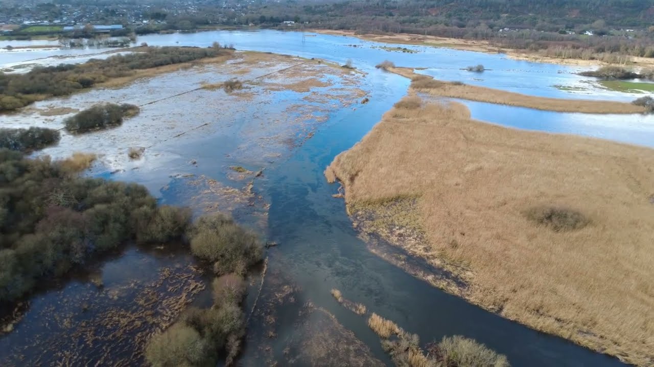Avon Valley Flood 2026 - Christchurch Dorset