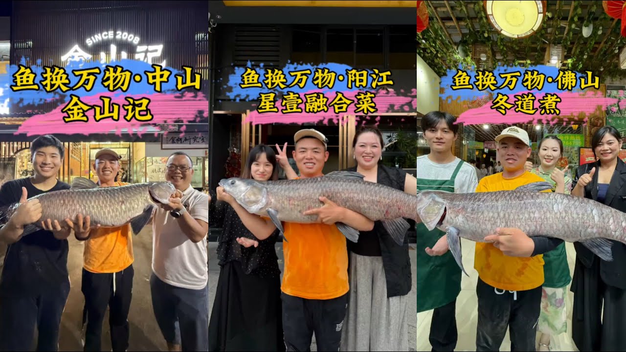 钓鱼交换美好阳江篇-中山篇-佛山篇：两条巨青换烤鸭，你们觉得老板娘亏不亏?