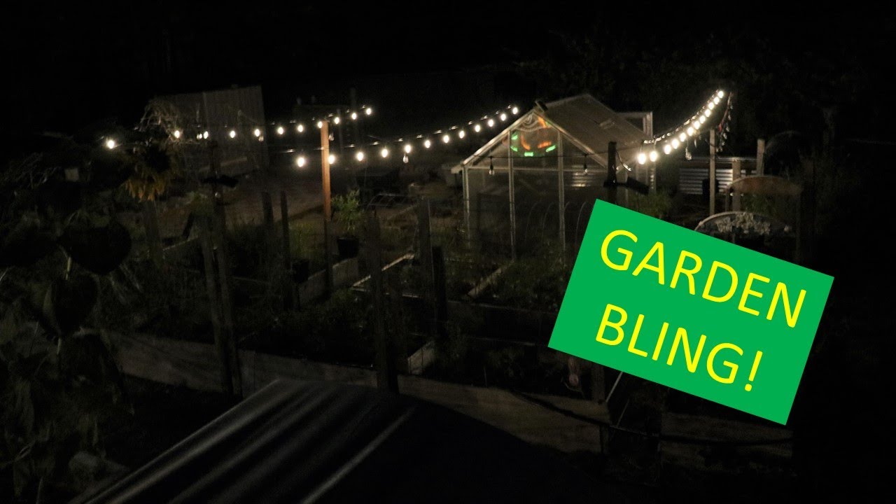 Testing Solar LED String Lights From Amazon In The Garden - 27ft Brightech Ambiance Pro Solar