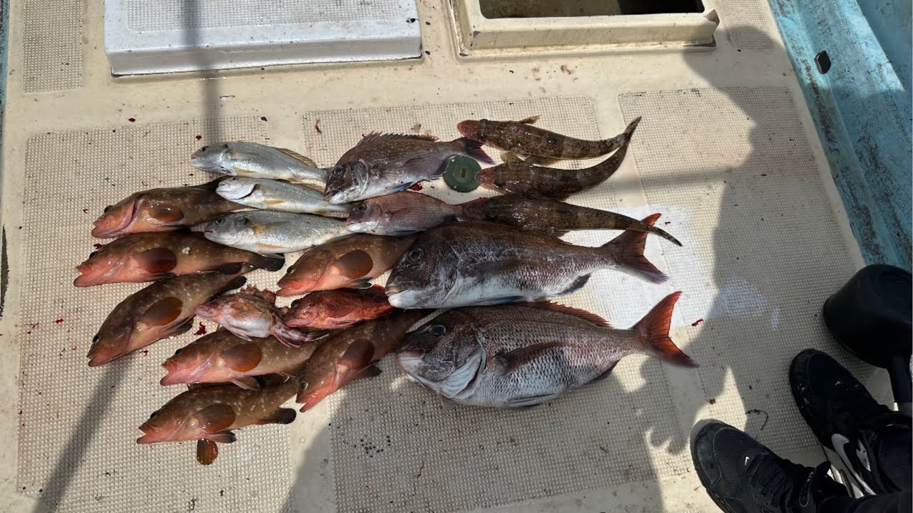 エビラバで釣りまくる