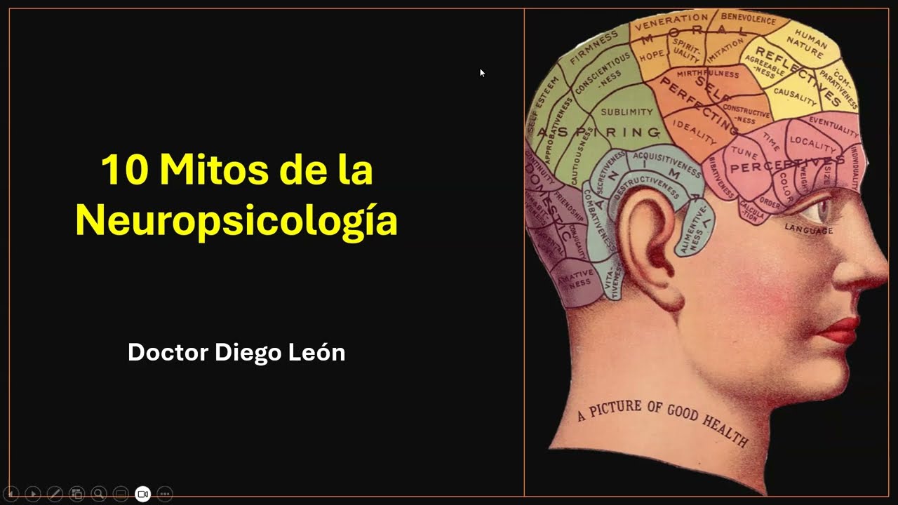 10 Mitos sobre la Neuropsicología