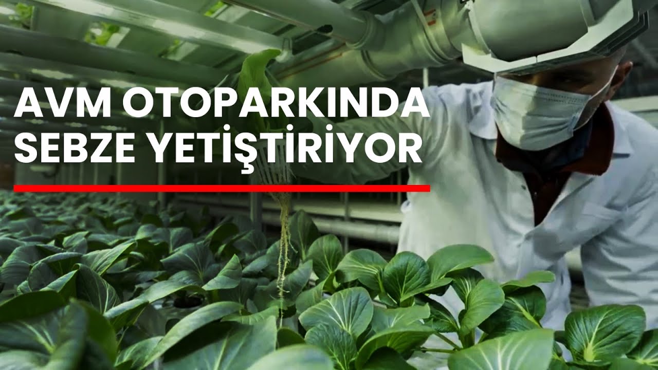 AVM'nin Altındaki Gizli Tarla