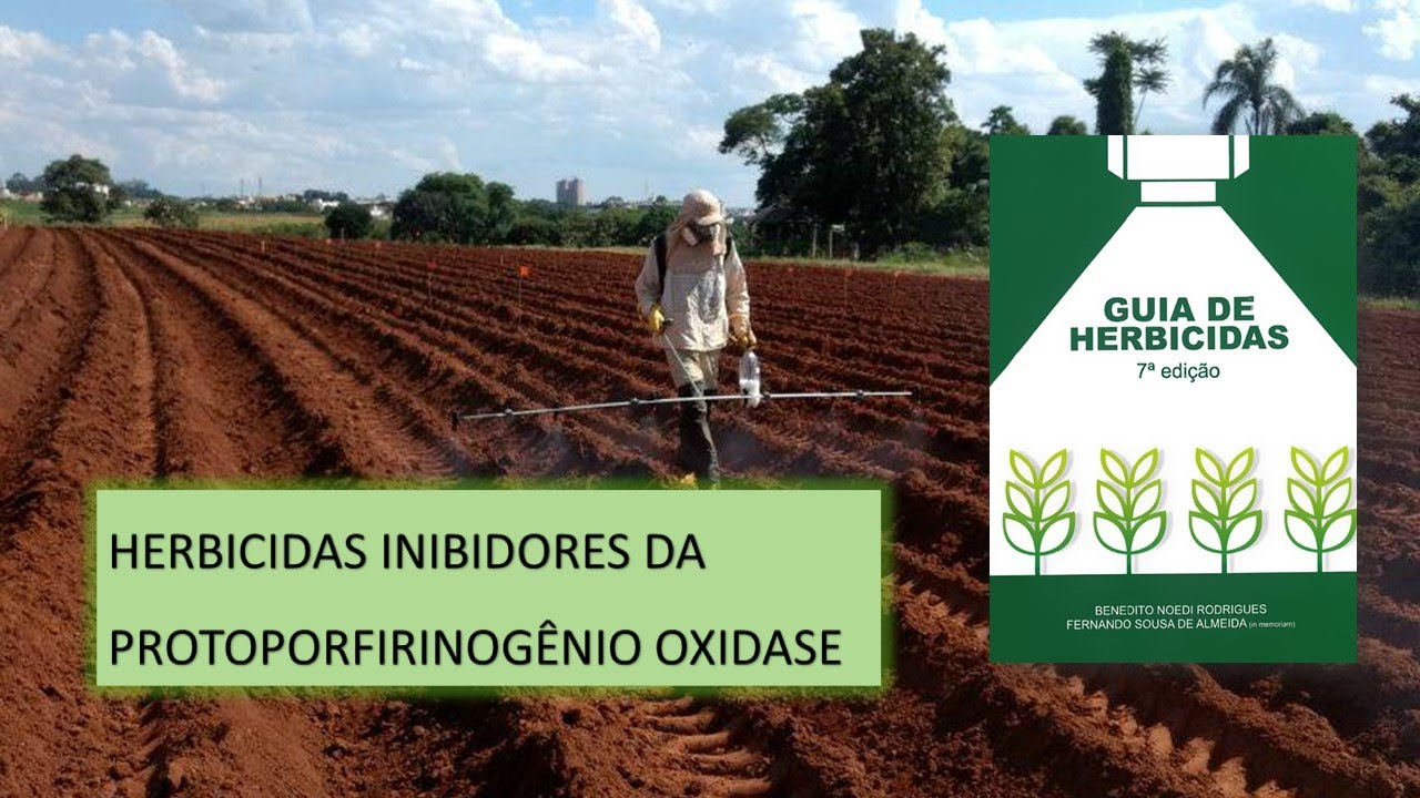 MECANISMO DE AÇÃO: PROTOX