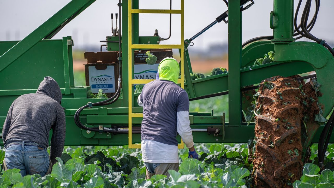 FARM WORKER JOBS IN UK.