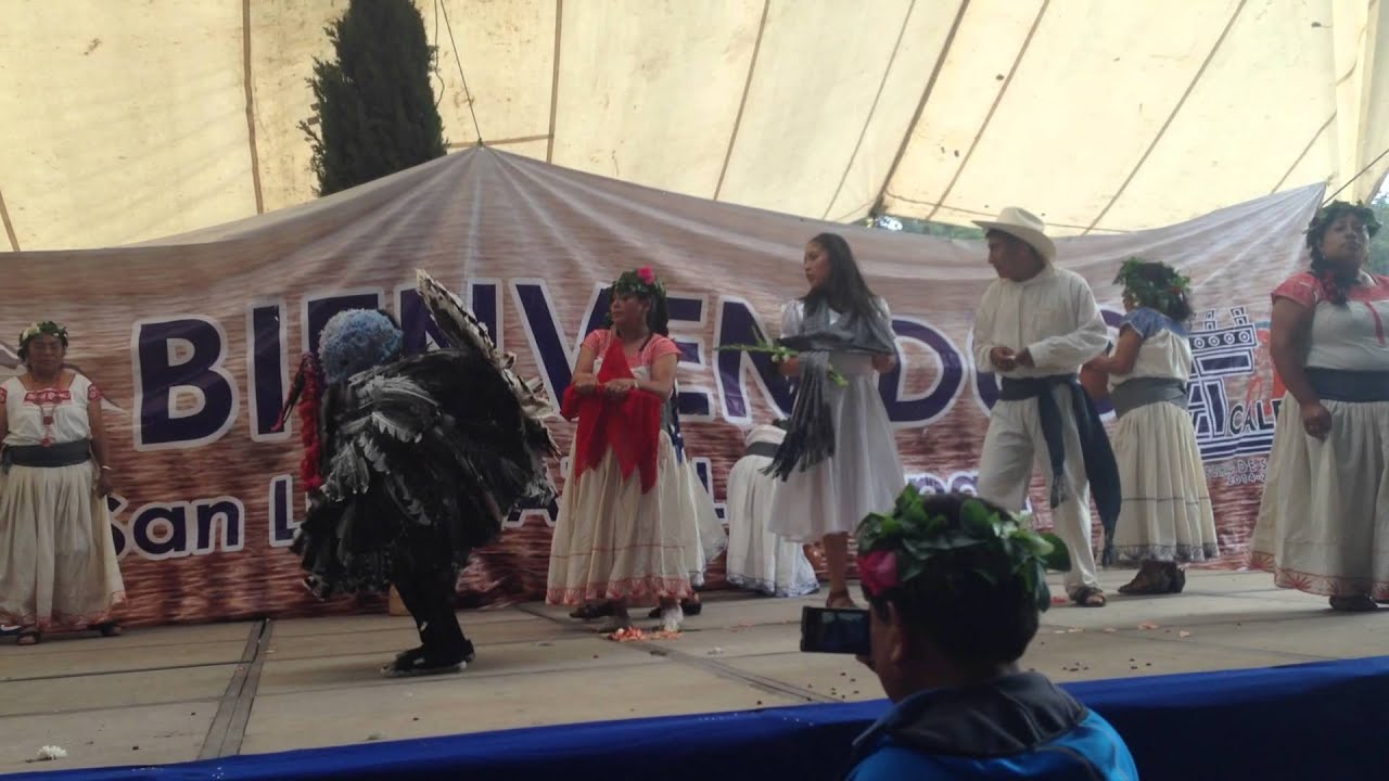 El baile del guajolote