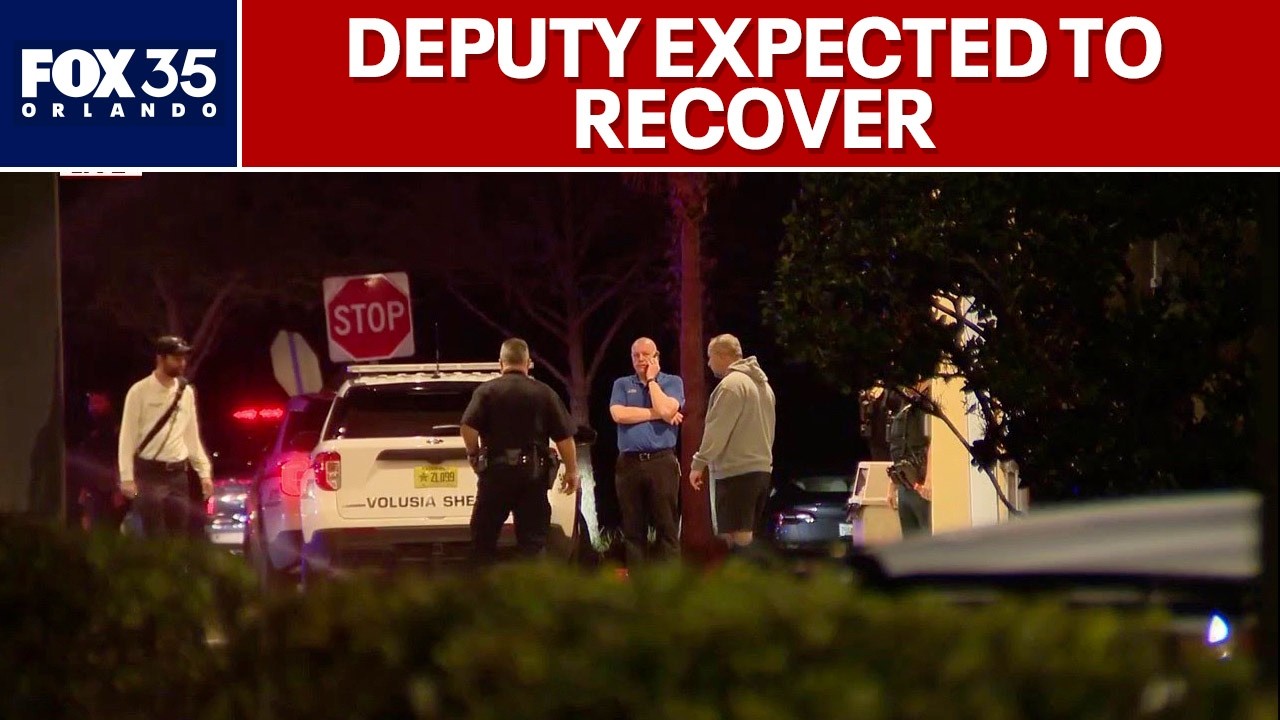 Deputy expected to recover after being shot during call, sheriff says