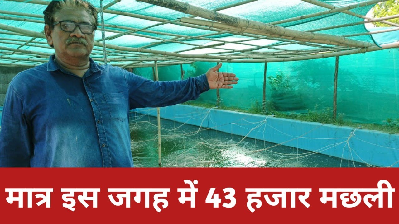 इतनी कम जगह में 43 हजार मछली । biofloc tank setup । kisan farming