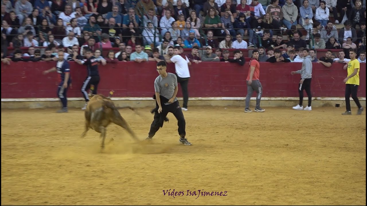 Zaragoza – Mañana vaquillera 13/10/2025 – Nº25/Noelia – 