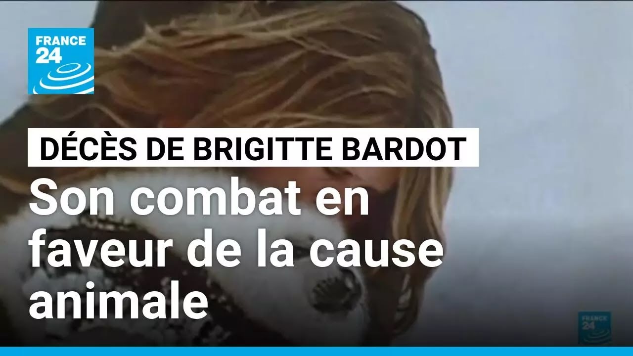 Brigitte Bardot et son combat en faveur de la cause animale &bull; FRANCE 24