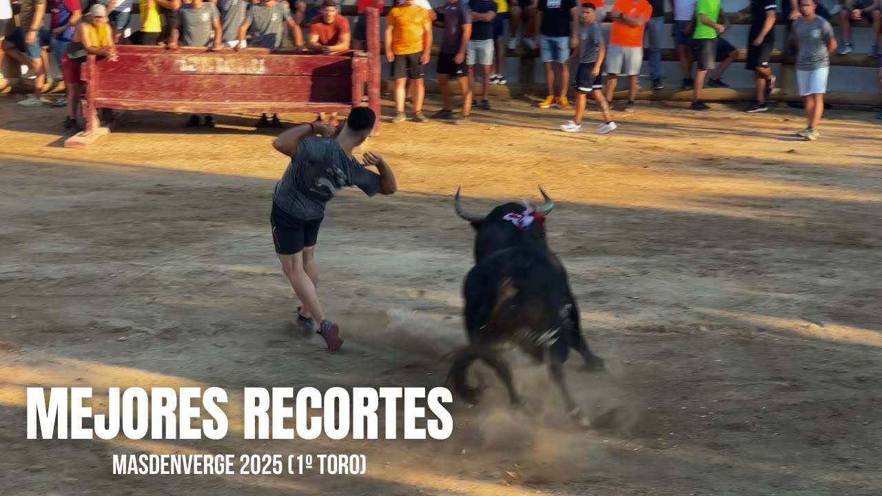 😲EL TORO M&Aacute;S AGRESIVO QUE HAYAS VISTO🤯| Masdenverge (Tarragona) | 30/07/2025 | 4K