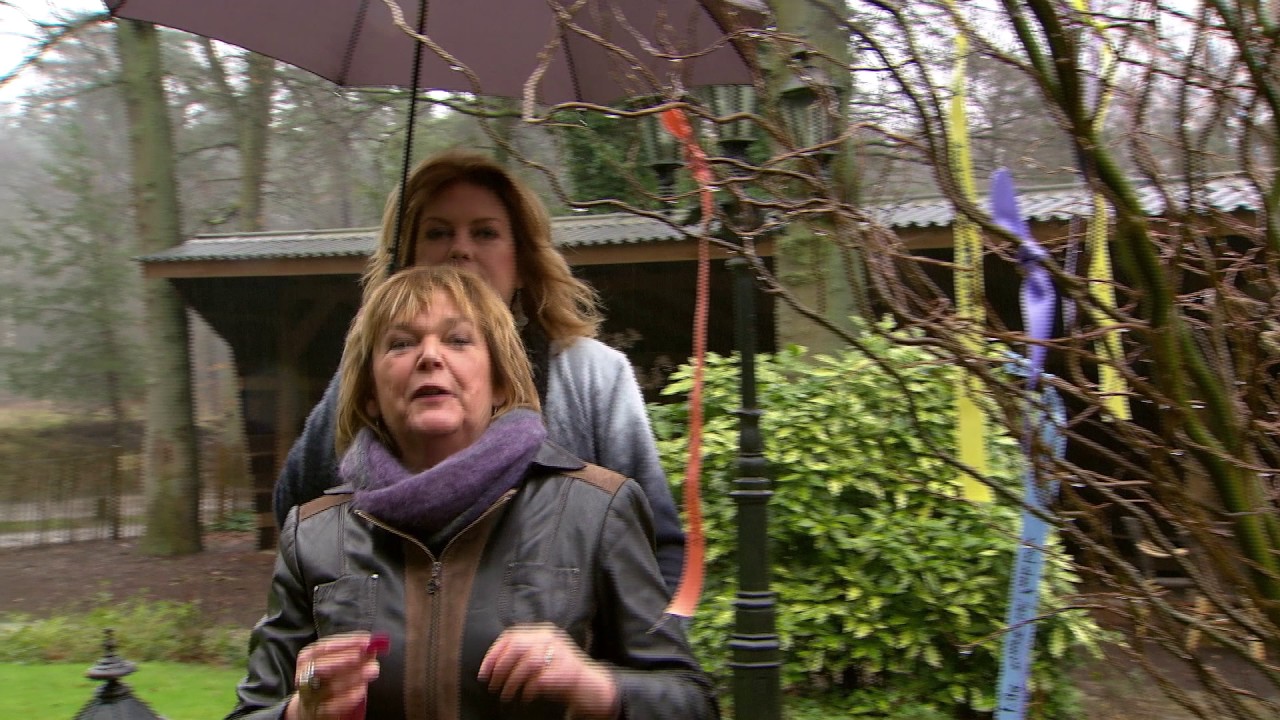 De Verwondering - Liesbeth Gijsbers Vastentijd