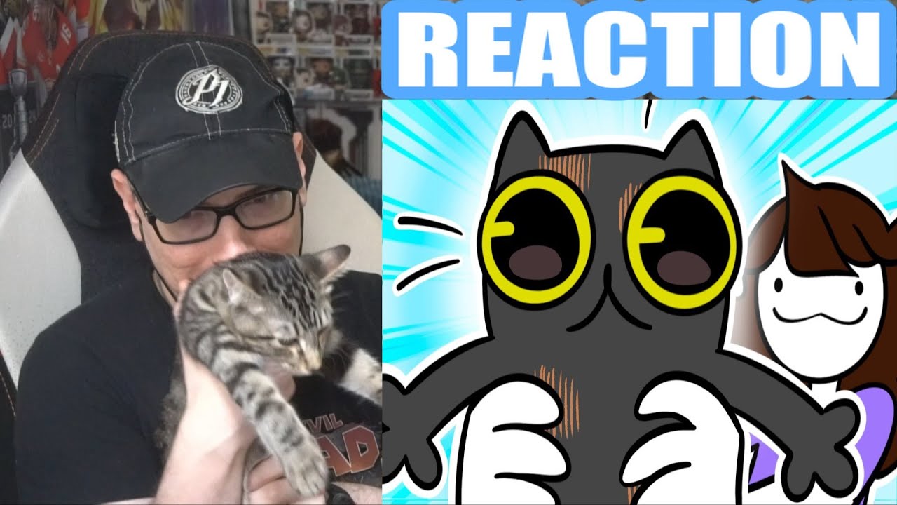 У меня есть кот (JaidenAnimations) РЕАКЦИЯ