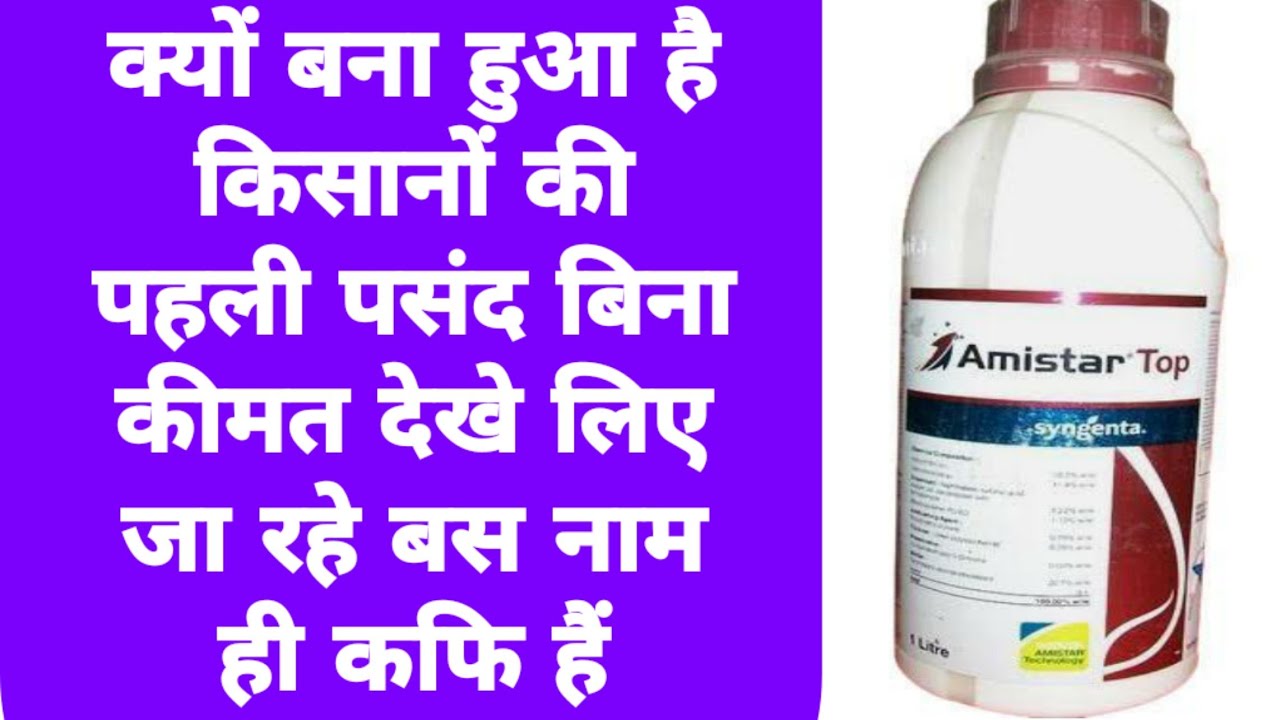 Amistar Top fungicide syngenta india|full information and technical explain