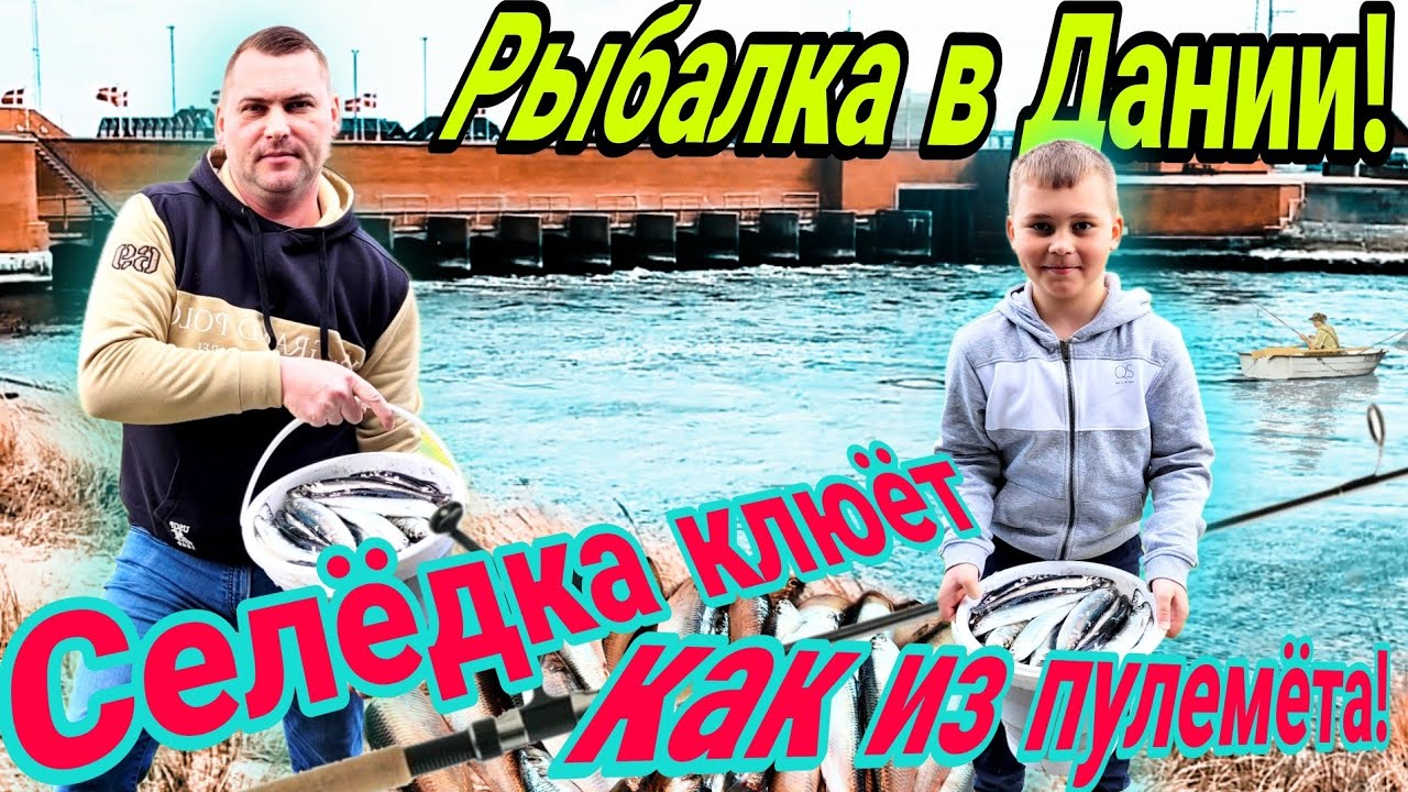 Селёдка прёт как из пулемёта/ Рыбалка в Дании!