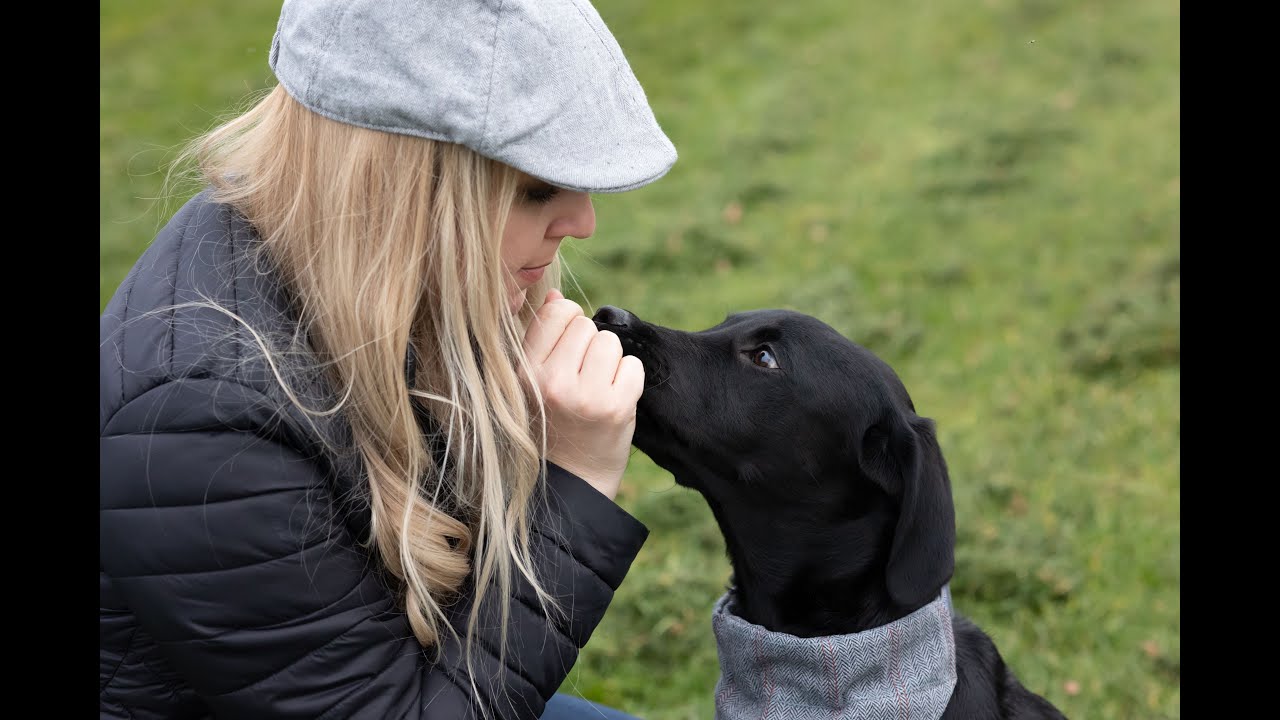 20 labrador trükk