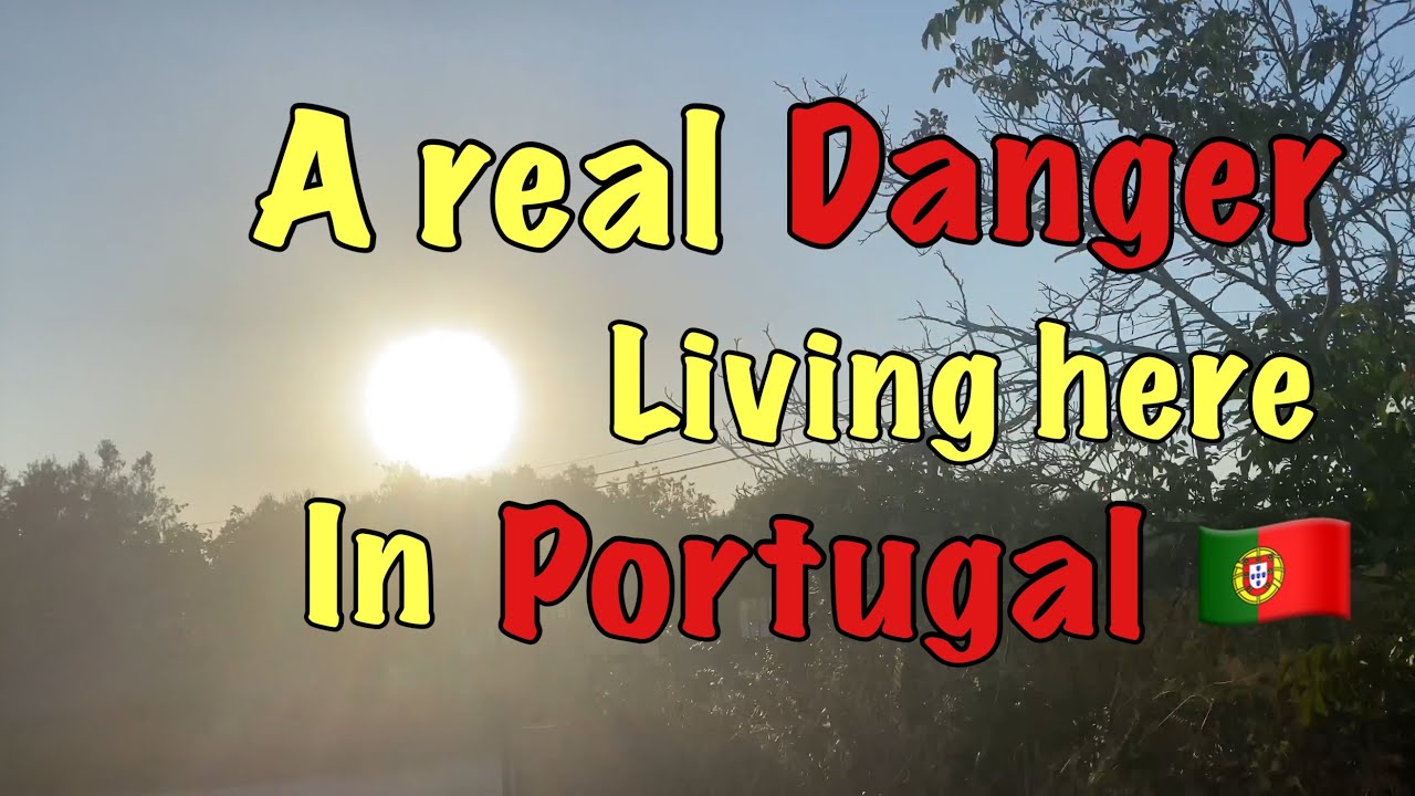 A real danger living here 🇵🇹 in Portugal