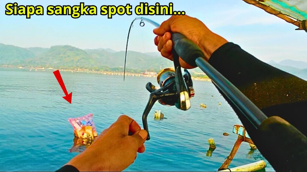 Ikan Kakap Tompel Monster Berulah lagi‼️ sungguh senang Hati‼️