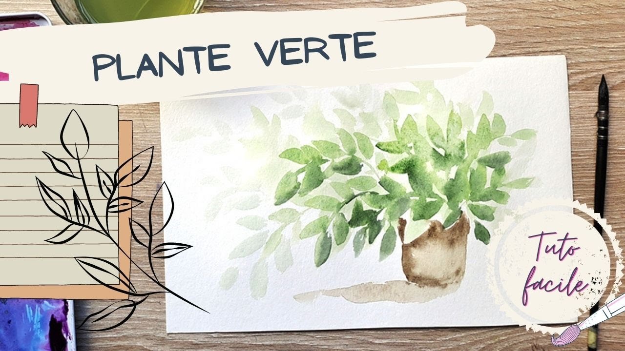 Peindre une plante verte - tuto aquarelle facile