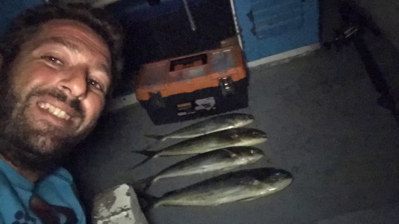 Fishing mahi mahi - lambouka in Crete. ΨΑΡΕΥΟΝΤΑΣ ΛΑΜΠΟΥΚΕΣ (ΚΥΝΗΓΟΥΣ) ΣΤΗ ΚΡΗΤΗ. Summer 2018