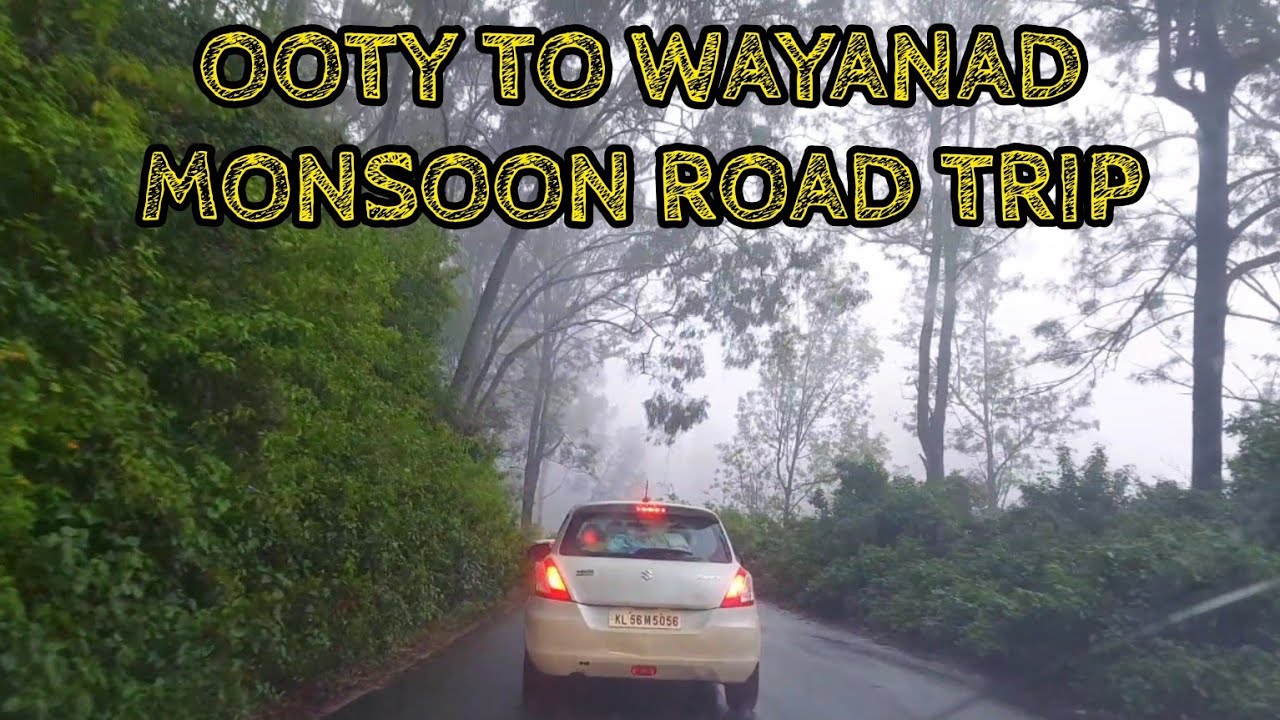 OOTY TO WAYANAD Monsoon Road Trip | Driving in Hill | Kerala | Tamilnadu Tourism