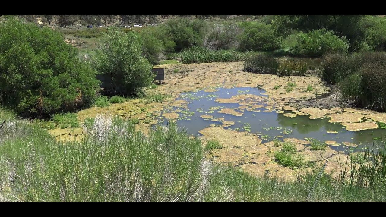 Exploring Coxey Truck Trail 3N14: Hesperia to Fawnskin via Big Bear Backroads, California