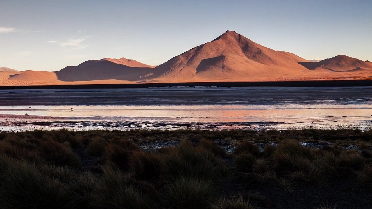 Lofi Beats / 10 Songs to Study, Focus, or Relax