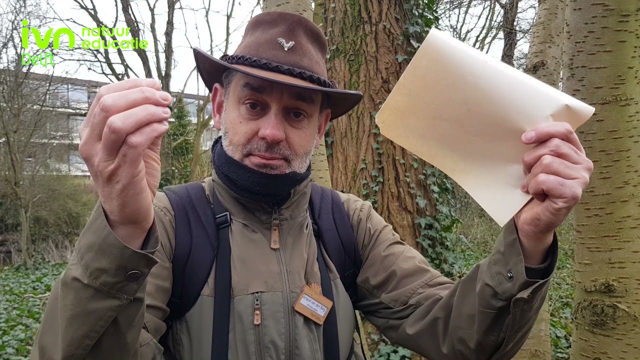 Lente in de achtertuin: Bomenpaspoort